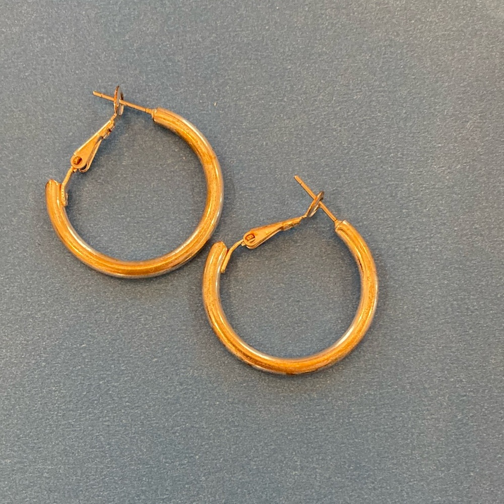 Elegant Gold Hoop Earrings